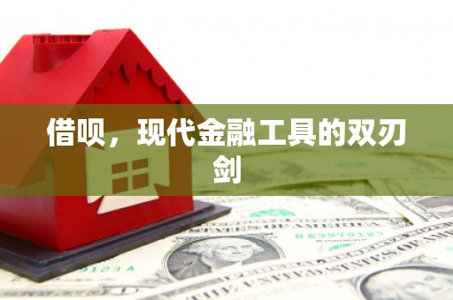 新泰借呗，现代金融工具的双刃剑