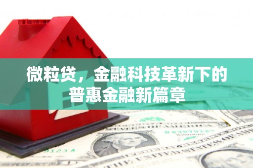 新泰微粒贷，金融科技革新下的普惠金融新篇章