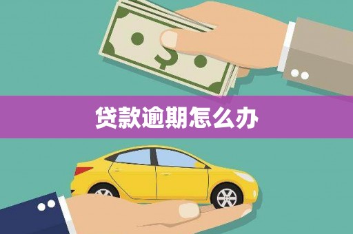 新泰贷款逾期怎么办