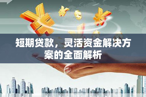 新泰短期贷款，灵活资金解决方案的全面解析