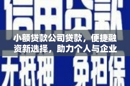 新泰小额贷款公司贷款，便捷融资新选择，助力个人与企业成长