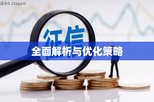 新泰全面解析与优化策略