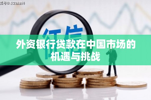 新泰外资银行贷款在中国市场的机遇与挑战