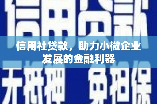 新泰信用社贷款，助力小微企业发展的金融利器