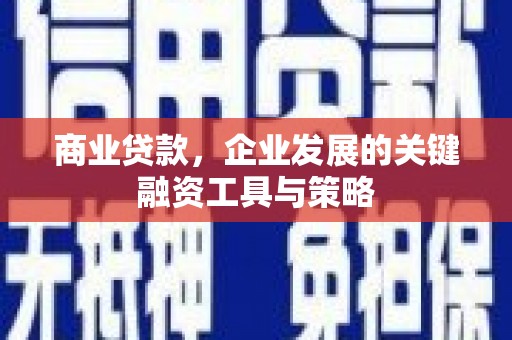 新泰商业贷款，企业发展的关键融资工具与策略