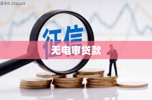 新泰无电审贷款