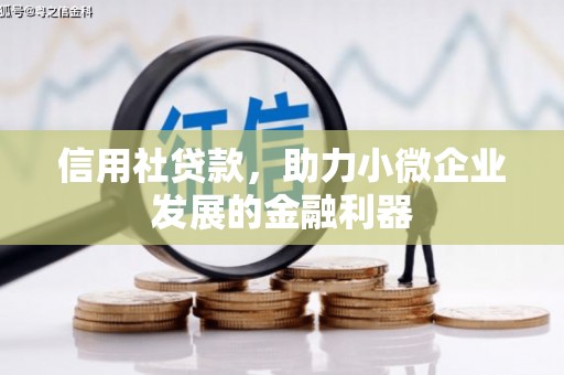 新泰信用社贷款，助力小微企业发展的金融利器