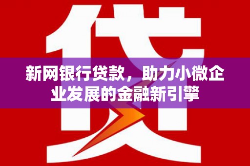 新泰新网银行贷款，助力小微企业发展的金融新引擎