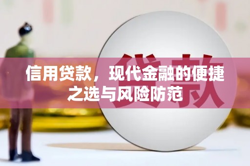 新泰信用贷款，现代金融的便捷之选与风险防范
