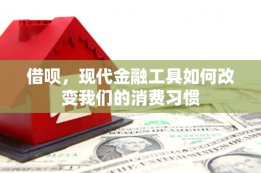 新泰借呗，现代金融工具如何改变我们的消费习惯
