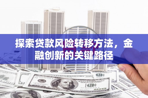 新泰探索贷款风险转移方法，金融创新的关键路径
