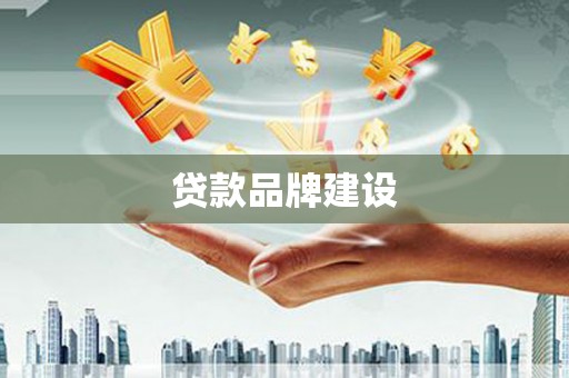 新泰贷款品牌建设