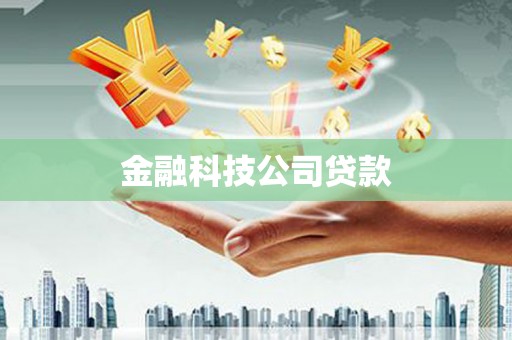 新泰金融科技公司贷款