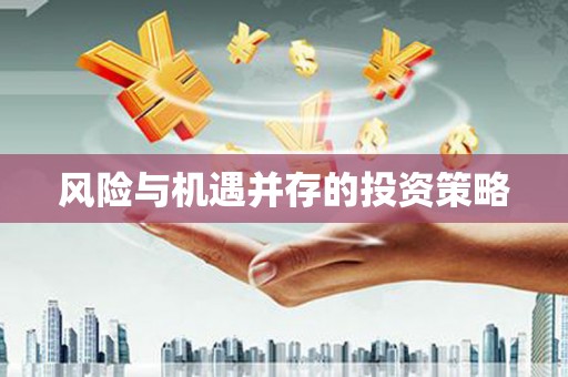 新泰风险与机遇并存的投资策略