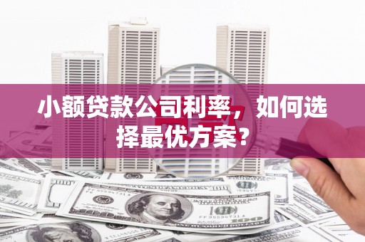 新泰小额贷款公司利率，如何选择最优方案？