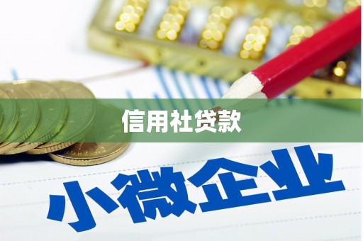 新泰信用社贷款