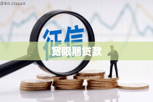 新泰宽限期贷款