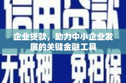 新泰企业贷款，助力中小企业发展的关键金融工具