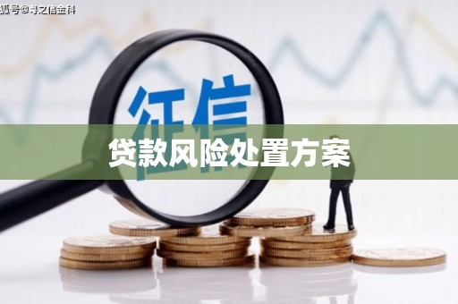 新泰贷款风险处置方案