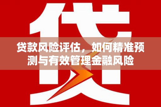 新泰贷款风险评估，如何精准预测与有效管理金融风险