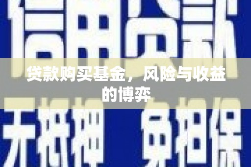 新泰贷款购买基金，风险与收益的博弈