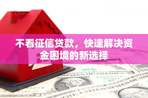 新泰不看征信贷款，快速解决资金困境的新选择