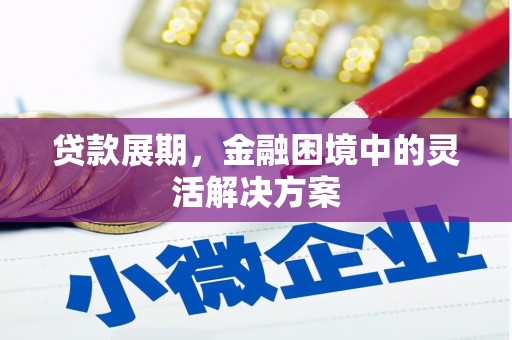 新泰贷款展期，金融困境中的灵活解决方案