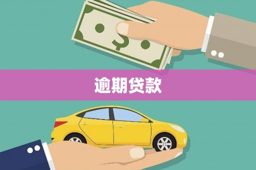 新泰逾期贷款