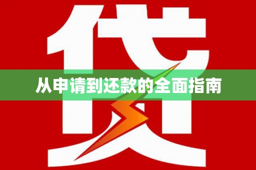新泰从申请到还款的全面指南