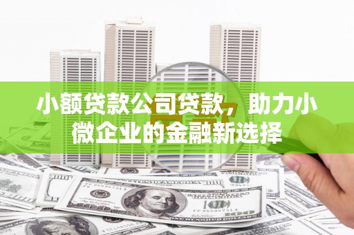 新泰小额贷款公司贷款，助力小微企业的金融新选择
