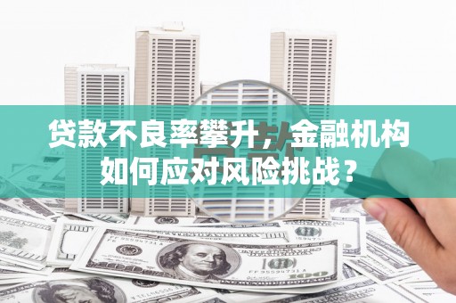 新泰贷款不良率攀升，金融机构如何应对风险挑战？