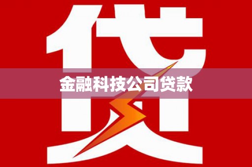 新泰金融科技公司贷款