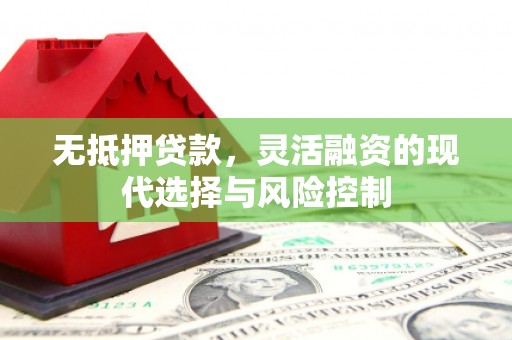 新泰无抵押贷款，灵活融资的现代选择与风险控制
