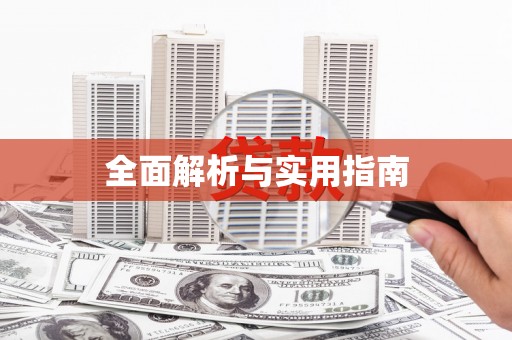 新泰全面解析与实用指南