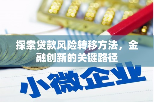 新泰探索贷款风险转移方法，金融创新的关键路径