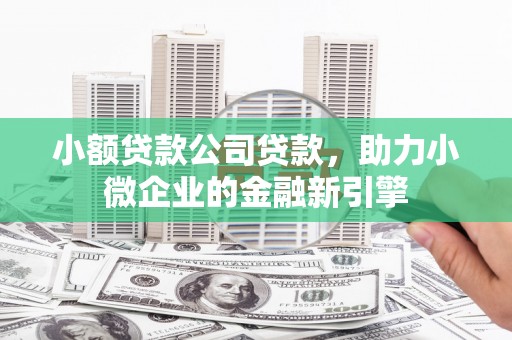 新泰小额贷款公司贷款，助力小微企业的金融新引擎