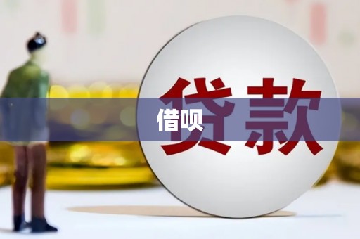 新泰借呗