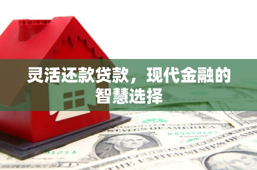 新泰灵活还款贷款，现代金融的智慧选择