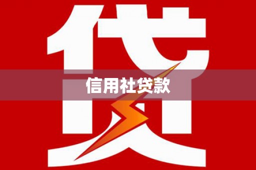 新泰信用社贷款