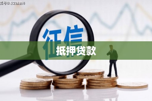 新泰抵押贷款