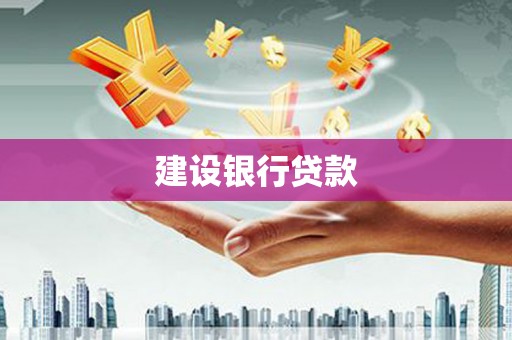 新泰建设银行贷款