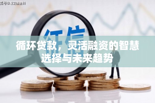 新泰循环贷款，灵活融资的智慧选择与未来趋势