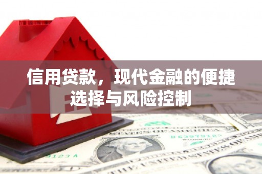 新泰信用贷款，现代金融的便捷选择与风险控制