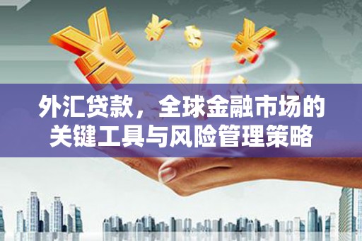新泰外汇贷款，全球金融市场的关键工具与风险管理策略
