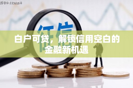 新泰白户可贷，解锁信用空白的金融新机遇