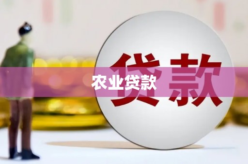 新泰农业贷款
