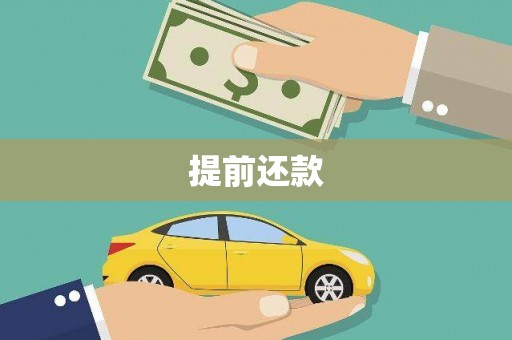 新泰提前还款