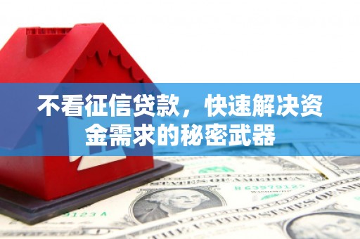 新泰不看征信贷款，快速解决资金需求的秘密武器