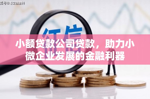 新泰小额贷款公司贷款，助力小微企业发展的金融利器