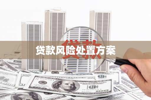 新泰贷款风险处置方案